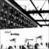 lout-bootleg