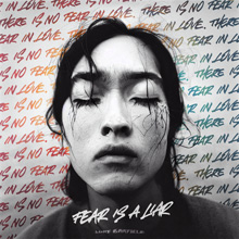 Fear is a Liar album artwork
